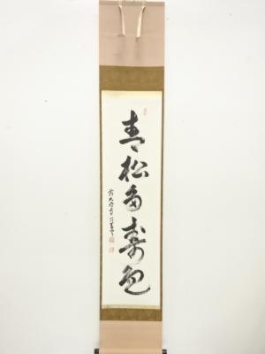 前大徳　丹羽萬寧筆　「青松多寿色」　一行書　紙本肉筆掛軸